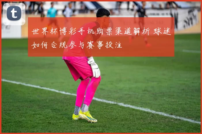 世界杯博彩手机购票渠道解析 球迷如何合规参与赛事投注