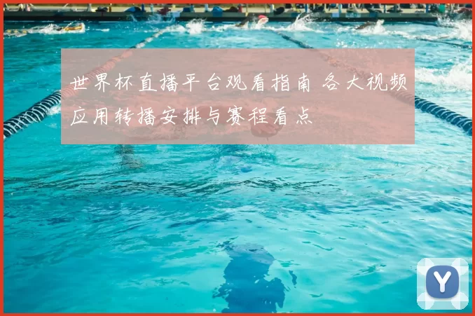 世界杯直播平台观看指南 各大视频应用转播安排与赛程看点